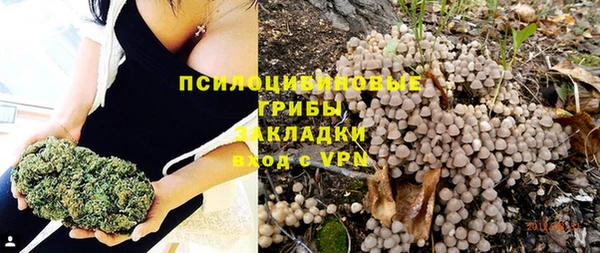 тгк Карпинск