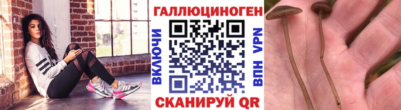 даркнет официальный сайт  Клинцы  Псилоцибиновые грибы MAGIC MUSHROOMS 
