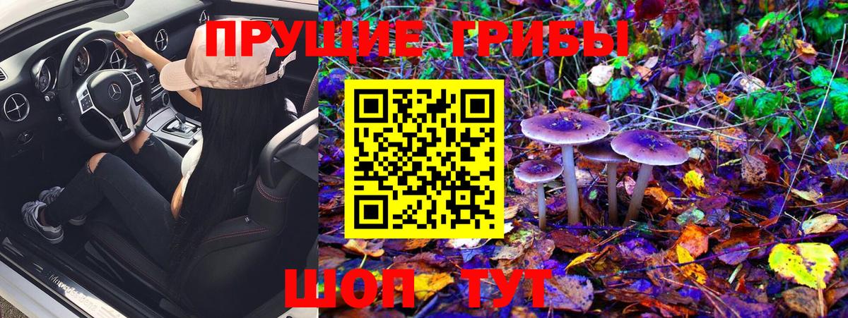 Псилоцибиновые грибы MAGIC MUSHROOMS Клинцы