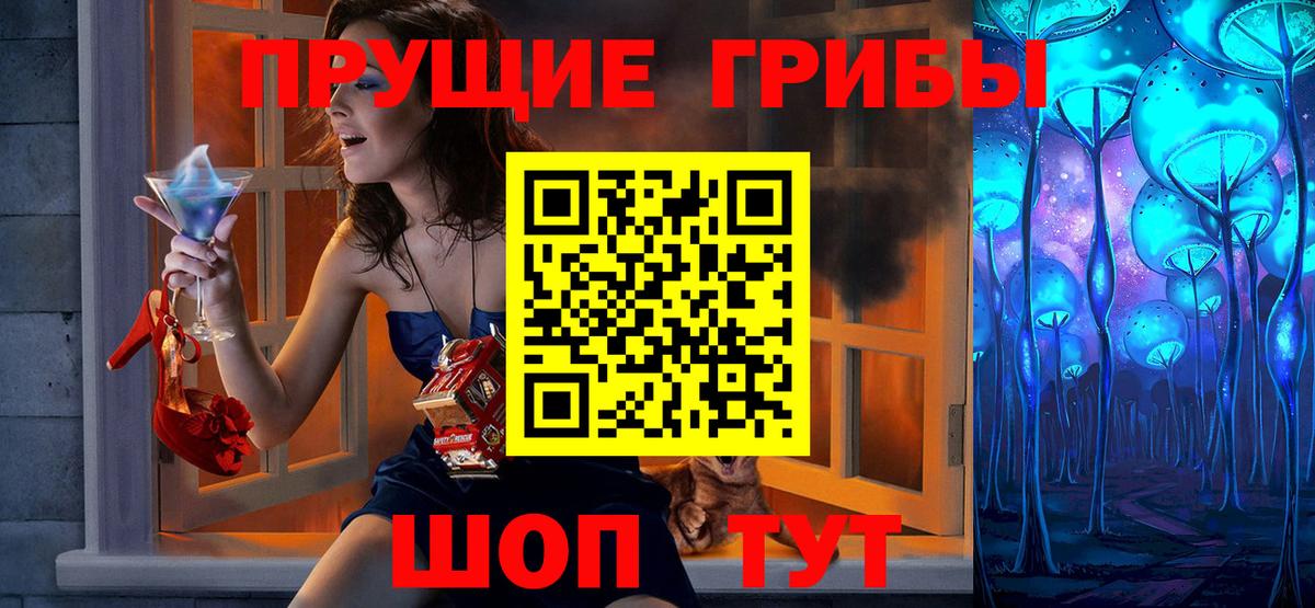 Галлюциногенные грибы GOLDEN TEACHER  как найти   Клинцы  Вход с VPN 