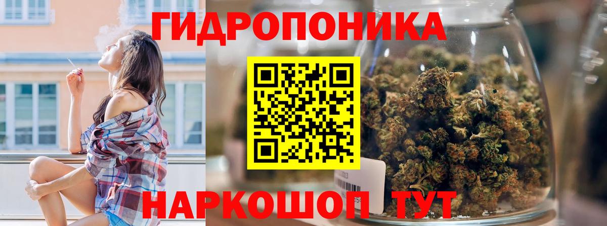 Канабис сатива Клинцы